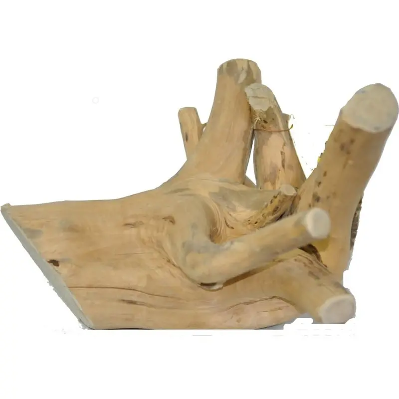 A&E Cage Company Small Java Wood Reptile Branch