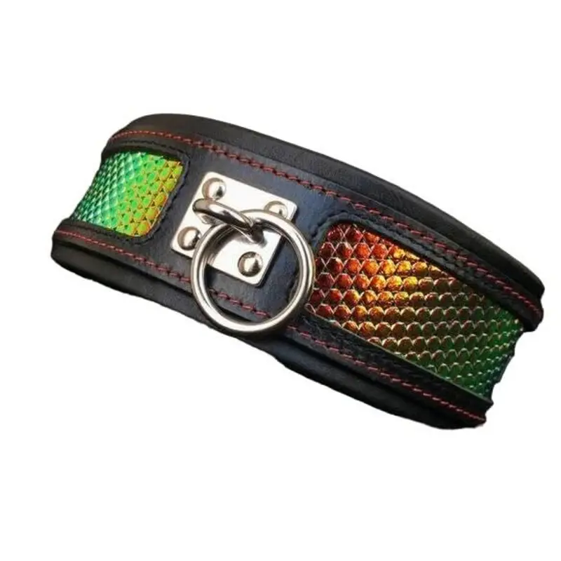 Bestia The ''D'Albertis'' collar for Dogs