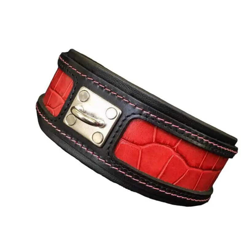 Bestia The Reptile Collar for Dogs