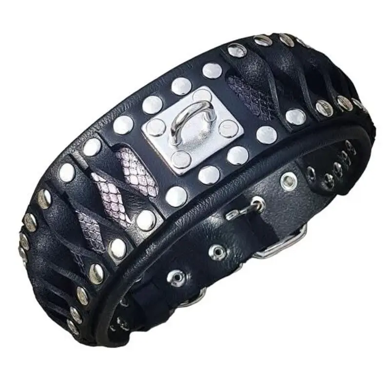 Bestia The Steampunk Collar Exclusive Design for Dogs
