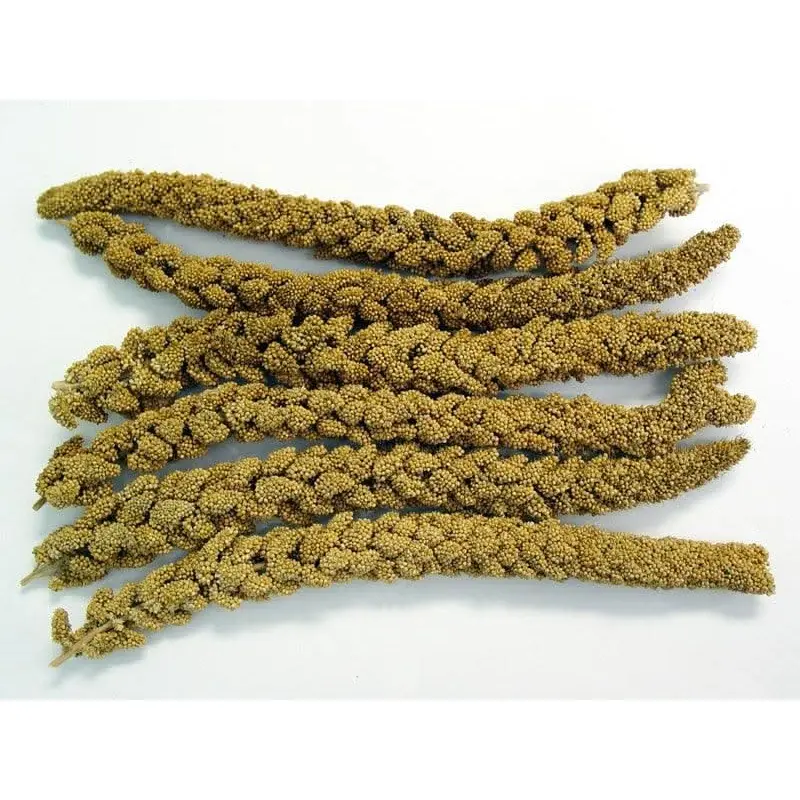 Higgins Spray Millet Treat