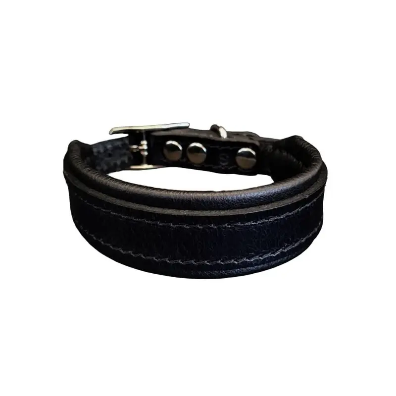Bestia Clean Puppy Collar for Puppies