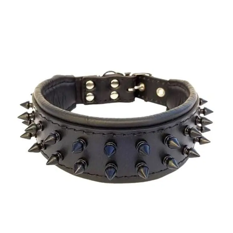 Bestia The "Frenchie" Black Collar for Dogs