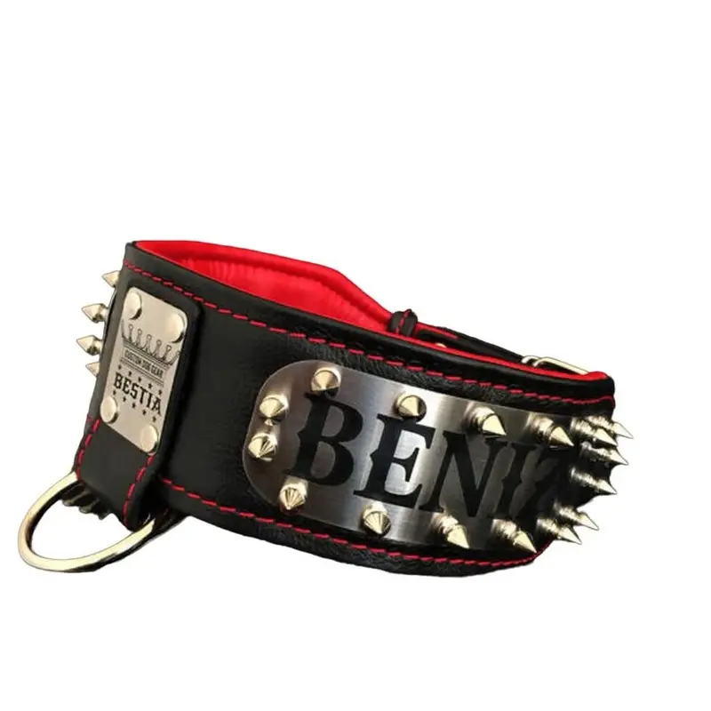 Bestia The "Kennel" collar personalized for Dogs