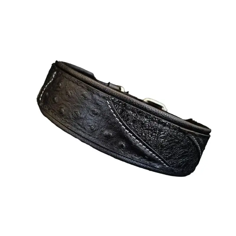 Bestia The Korona Collar Black Edition for Dogs