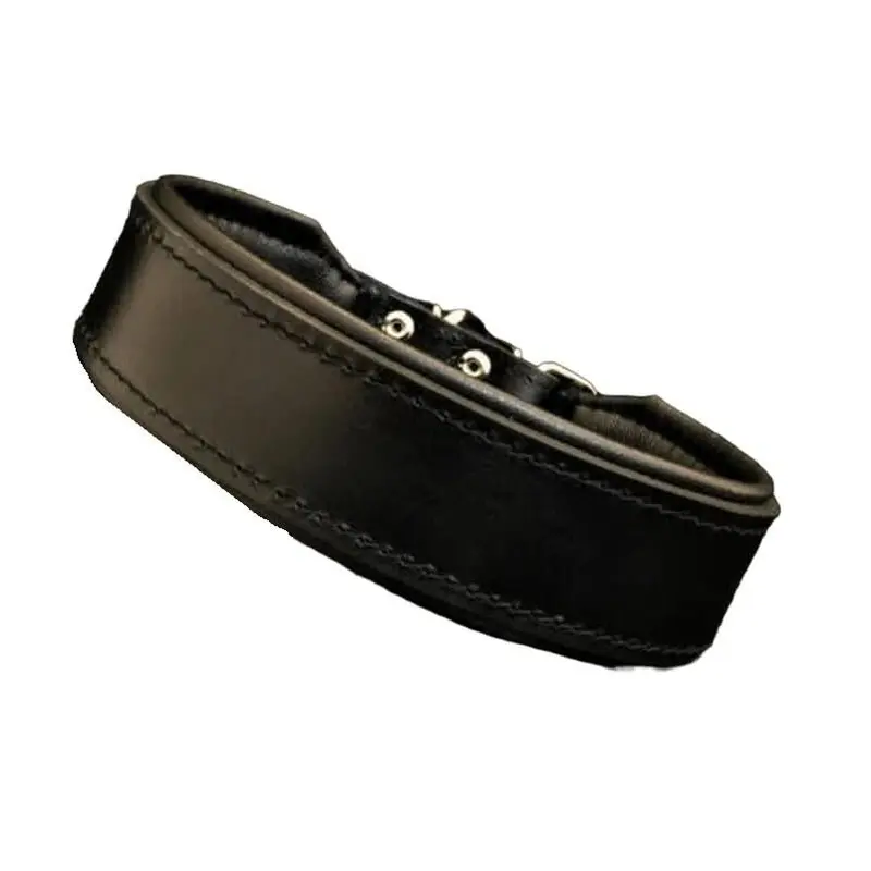 Bestia The "Stylish" Black Collar for Dogs