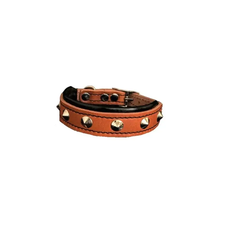 Bestia The "Superstar" Collar for Puppies