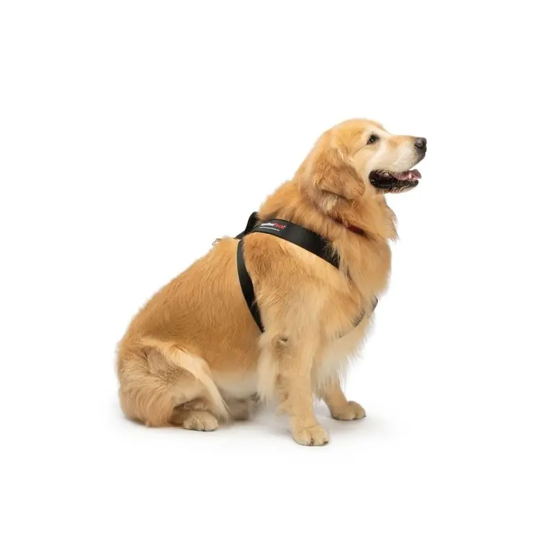 WeatherTech Pet Safety Harness - Black