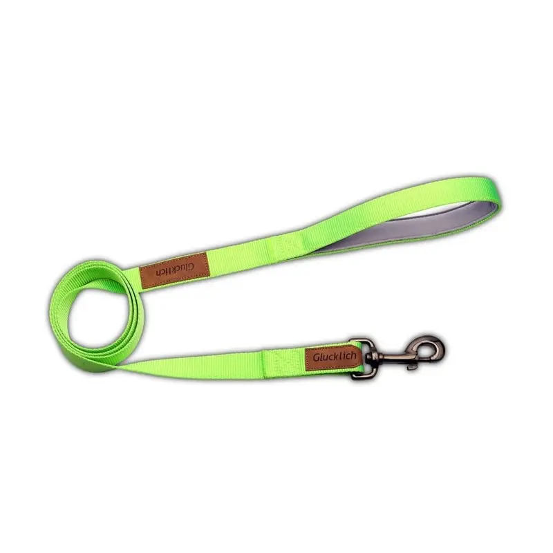 Glucklich Heavy Duty Nylon Pet Leash - 5 Feet