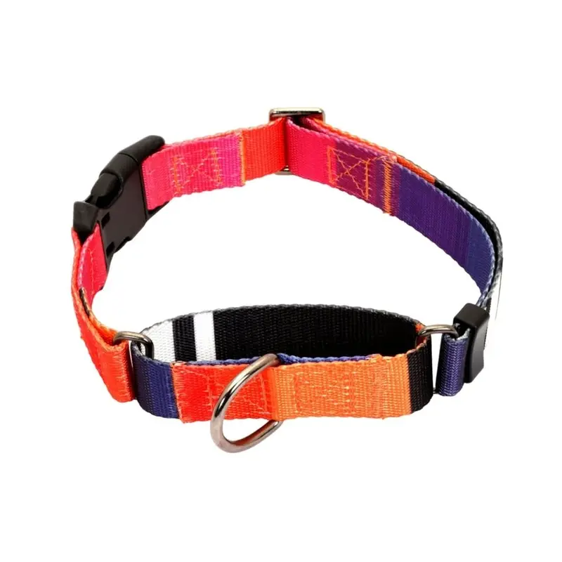 Glucklich Martingale Printed Dog Collar