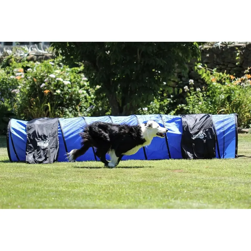 Better Sporting Dogs Complete Starter Agility Set for Dogs