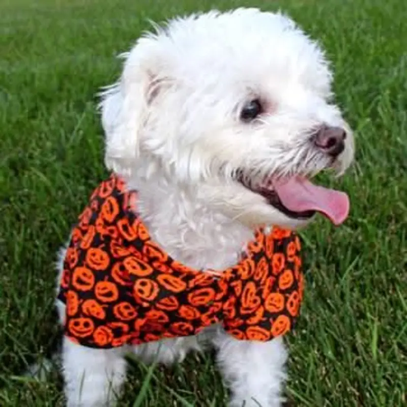 Doggie Design Halloween Camp Shirts - Halloween Jack-o-Lanterns