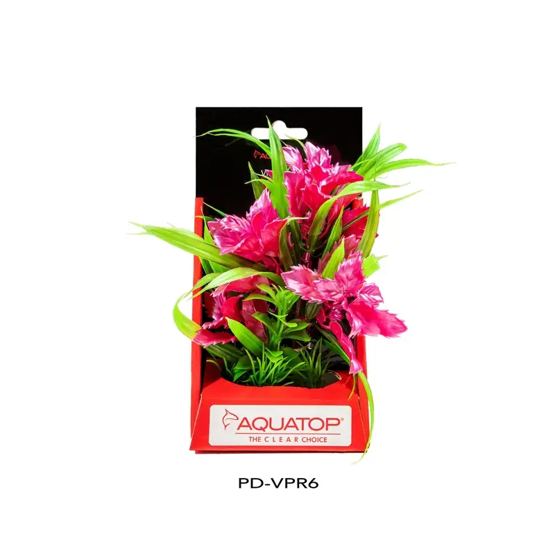 Aquatop Vibrant Passion Plant Rose 6in