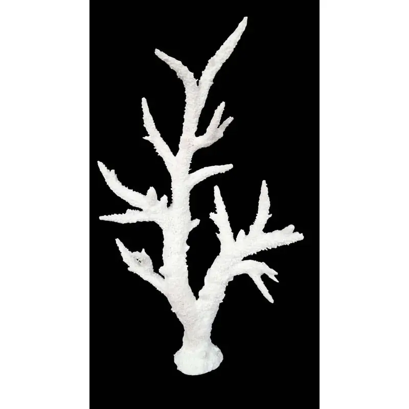 Weco Products South Pacific Coral Staghorn Tall Ornament White MD