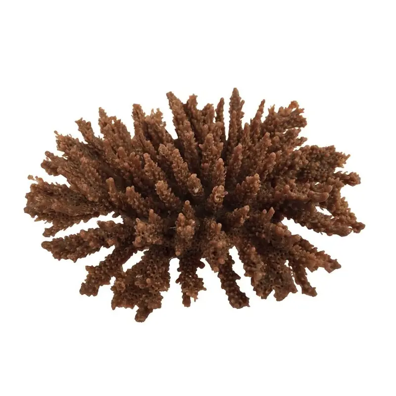 Weco Products South Pacific Coral Tabletop Ornament Brown SM