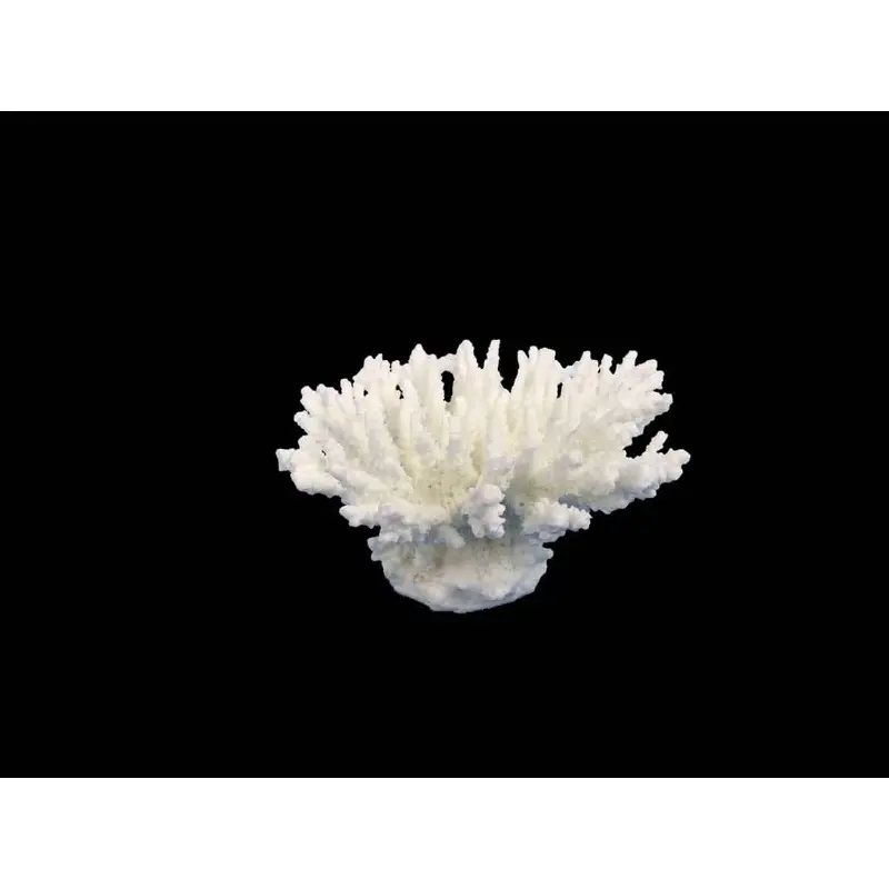 Weco Products South Pacific Coral Tabletop Ornament White XS