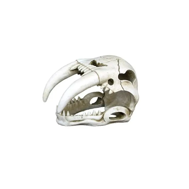 Weco Products Wecorama Catacombs Sabertooth Skull Aquarium Ornament White