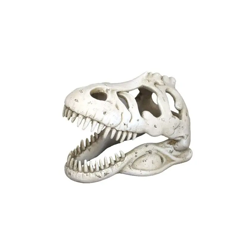 Weco Products Wecorama Catacombs T-REX Skull Aquarium Ornament White