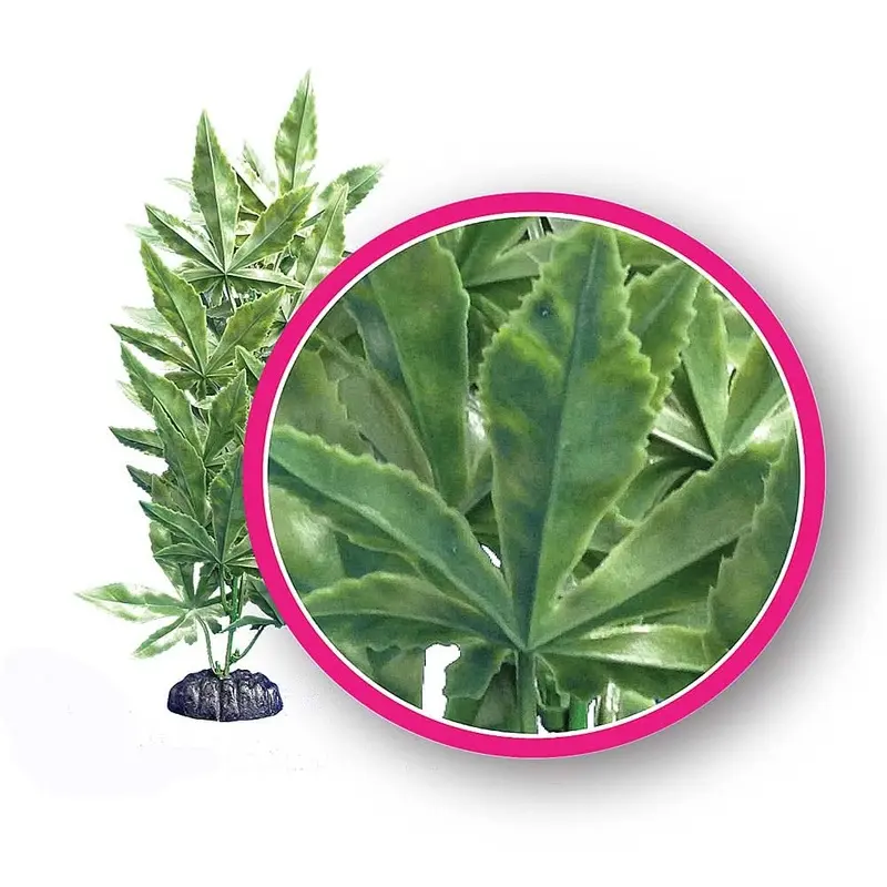 Weco Products Dream Series Hash Aquarium Plant Green 6 in
