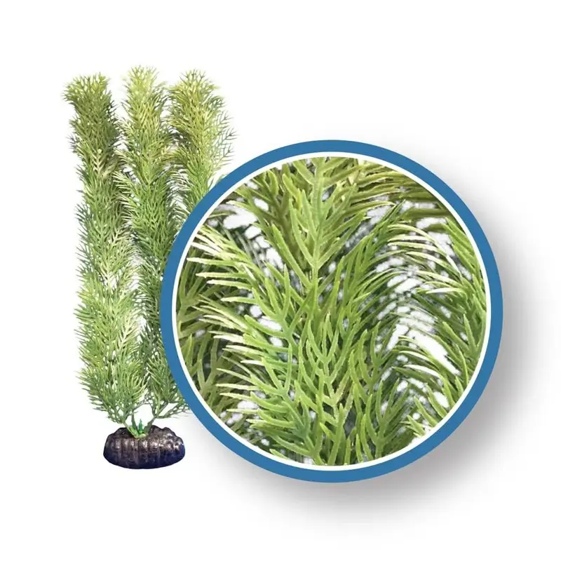 Weco Products Freshwater Pro Series Cabomba Aquarium Plant Green 18 in