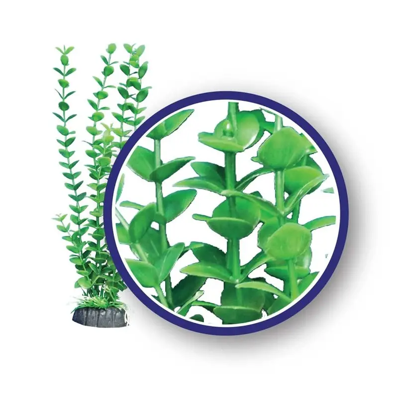 Weco Products Freshwater Series Bacopa Aquarium Plant Green 18 in