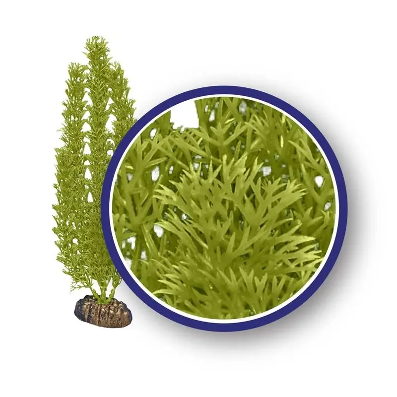 Weco Products Freshwater Series Foxtail Aquarium Plant Green 18 in