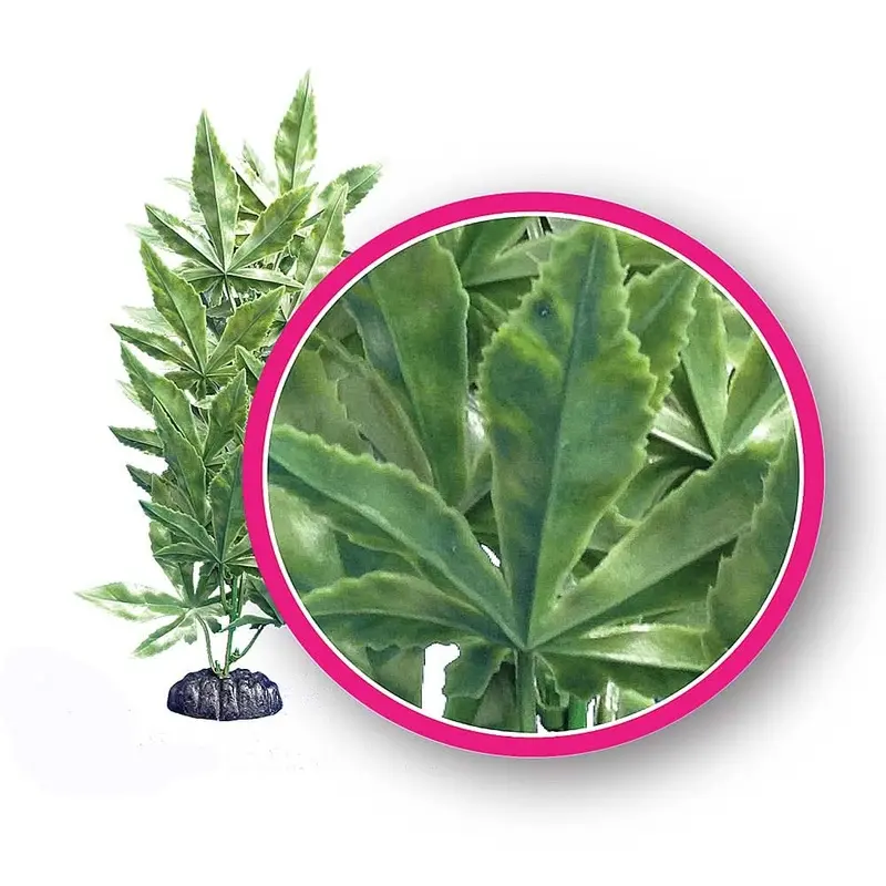 Weco Products Dream Series Hash Aquarium Plant Green 9 in