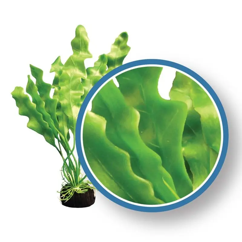 Weco Products Freshwater Pro Series Amazon Ruffled Sword Aquarium Plant Green 9 in