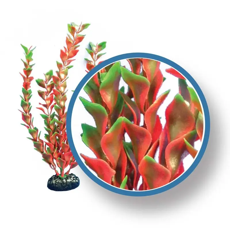 Weco Products Freshwater Pro Series Ludwigia Aquarium Plant Red 9 in