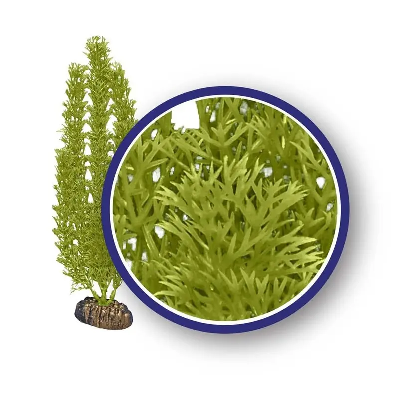 Weco Products Freshwater Series Foxtail Aquarium Plant Green 12 in