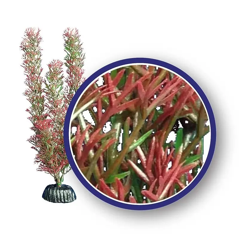 Weco Products Freshwater Series Foxtail Aquarium Plant Red 12 in