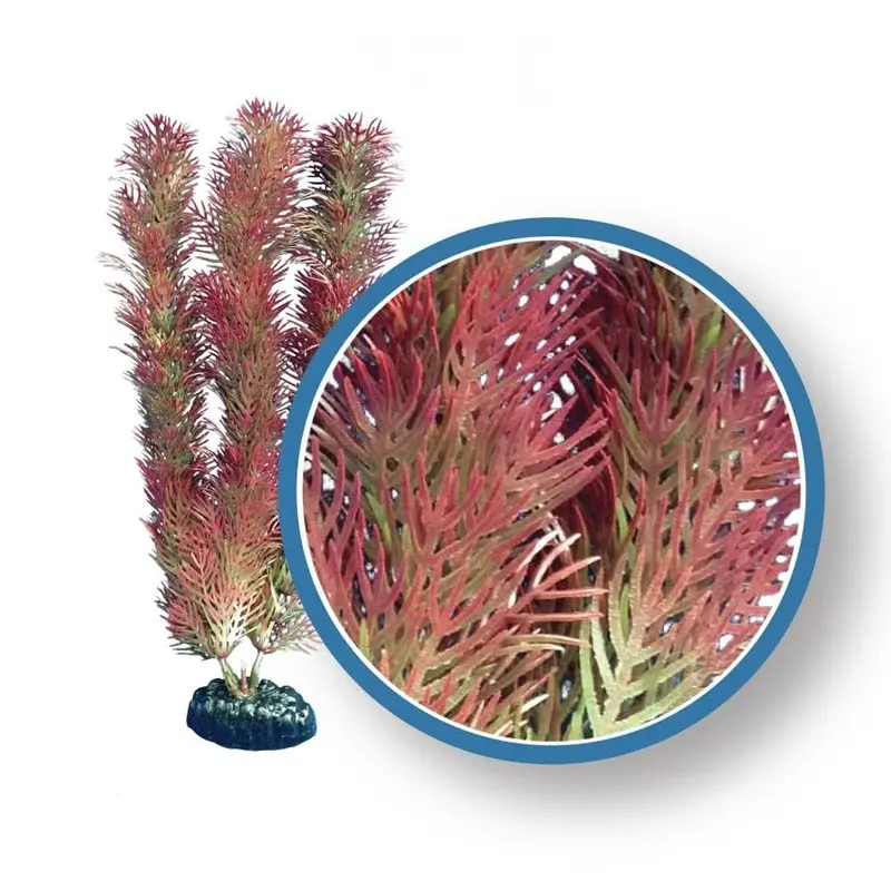 Weco Products Freshwater Pro Series Cabomba Aquarium Plant Red 6 in