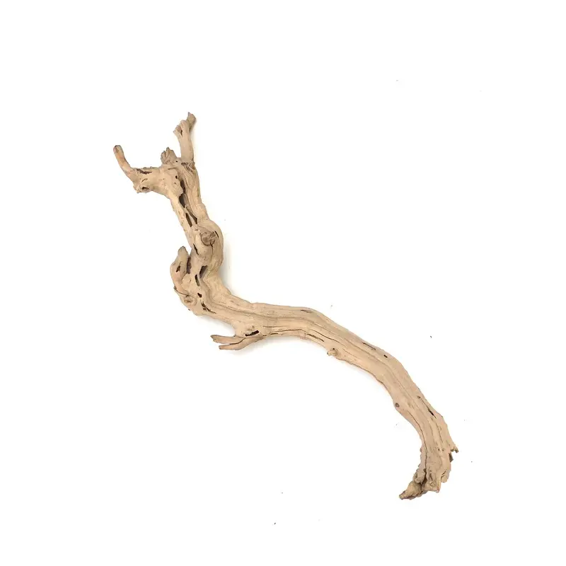 Sublime Vines Sandblasted Grapevine Decor MD