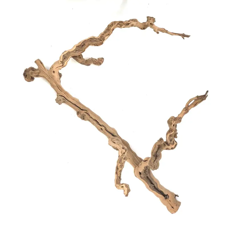 Sublime Vines Sandblasted Grapevine Decor XL
