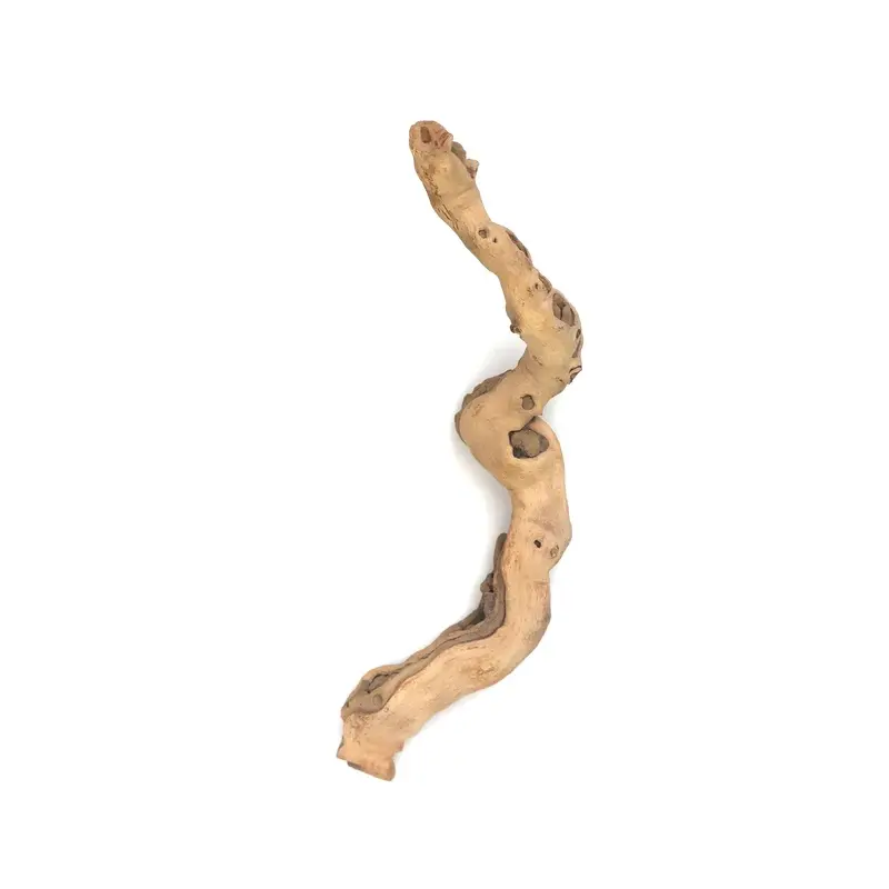 Sublime Vines Sandblasted Grapevine Decor XS