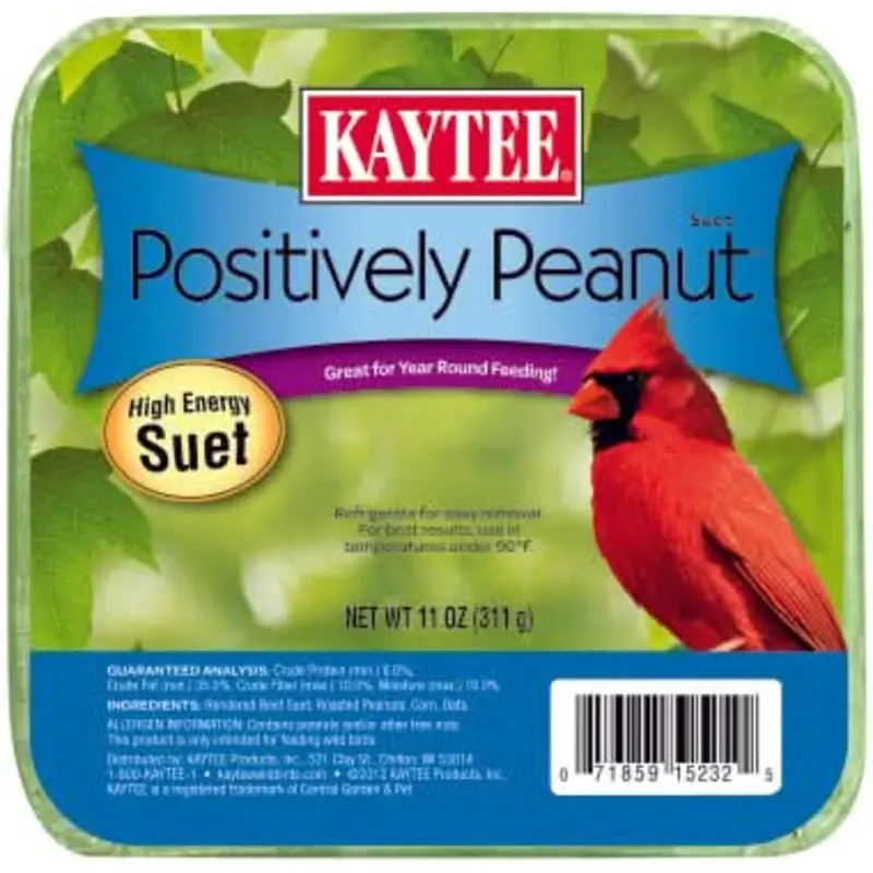 Positively Peanut Suet 11 Ounces