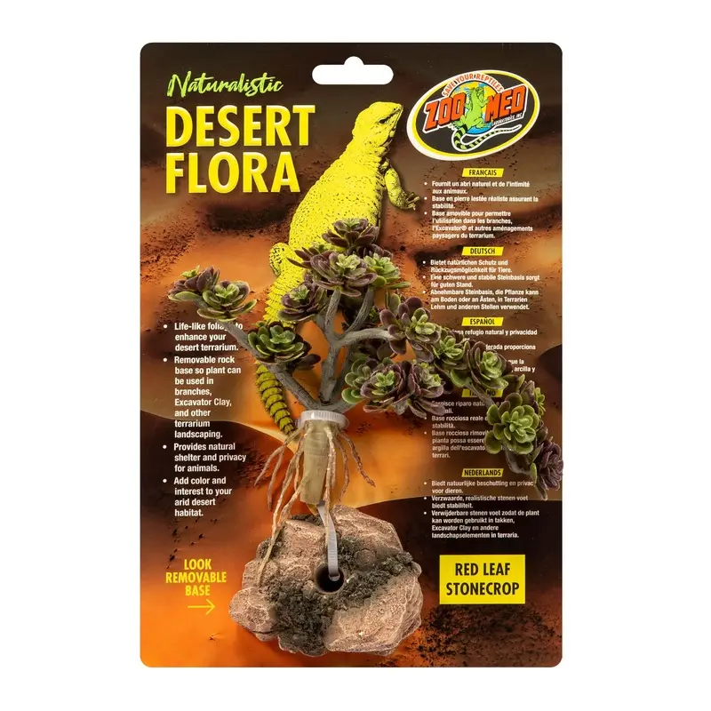 Zoo Med Desert Flora Plant Red Leaf Stonecrop One Size