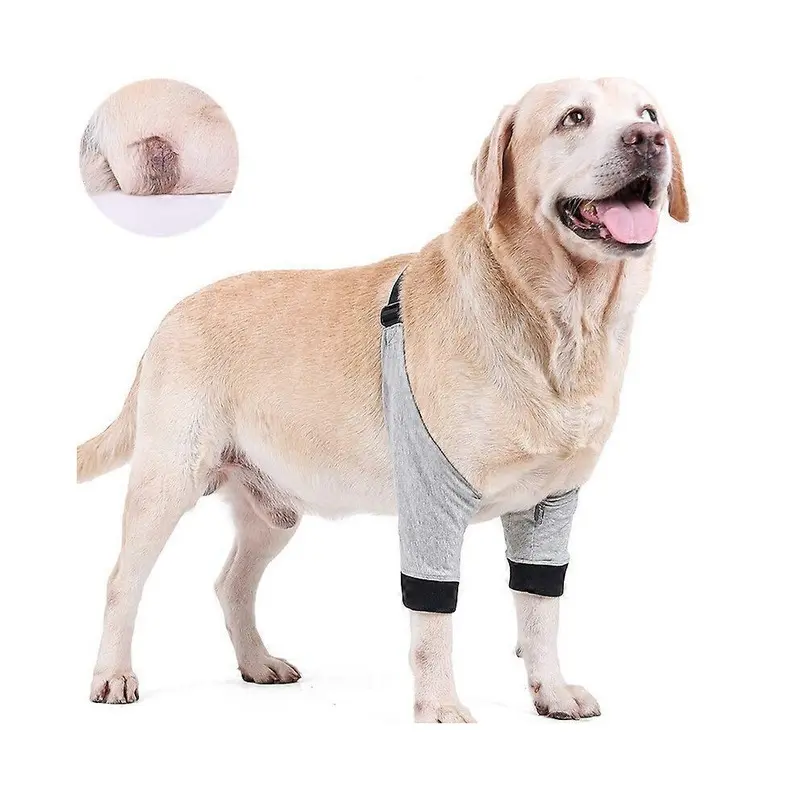 Spiez Womens Blue (S, One ) Dog Knee Brace For Wound Protection ,Arthritis - Keeps The Joint Warm - Reduces Pain And Inflammation Extra Large